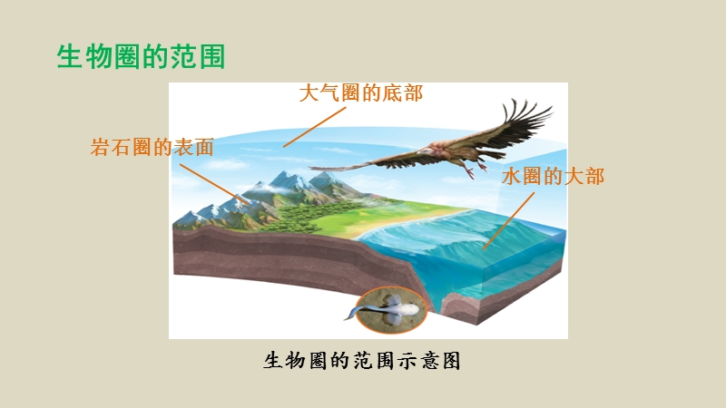 确立保护生物圈意识,学习目标,生物圈的范围,生物圈的范围,生物圈的